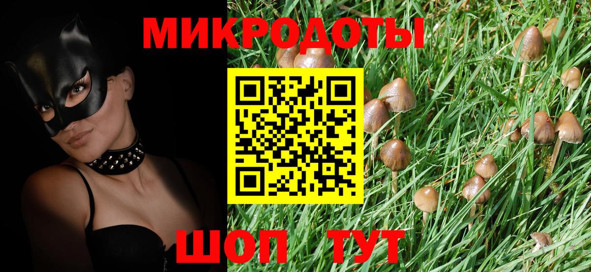 Грязи  Галлюциногенные грибы GOLDEN TEACHER  Вход с VPN 